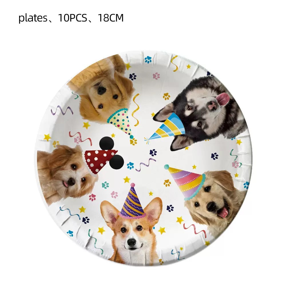 PF-06 ——(Mínimo 3 PCS)
