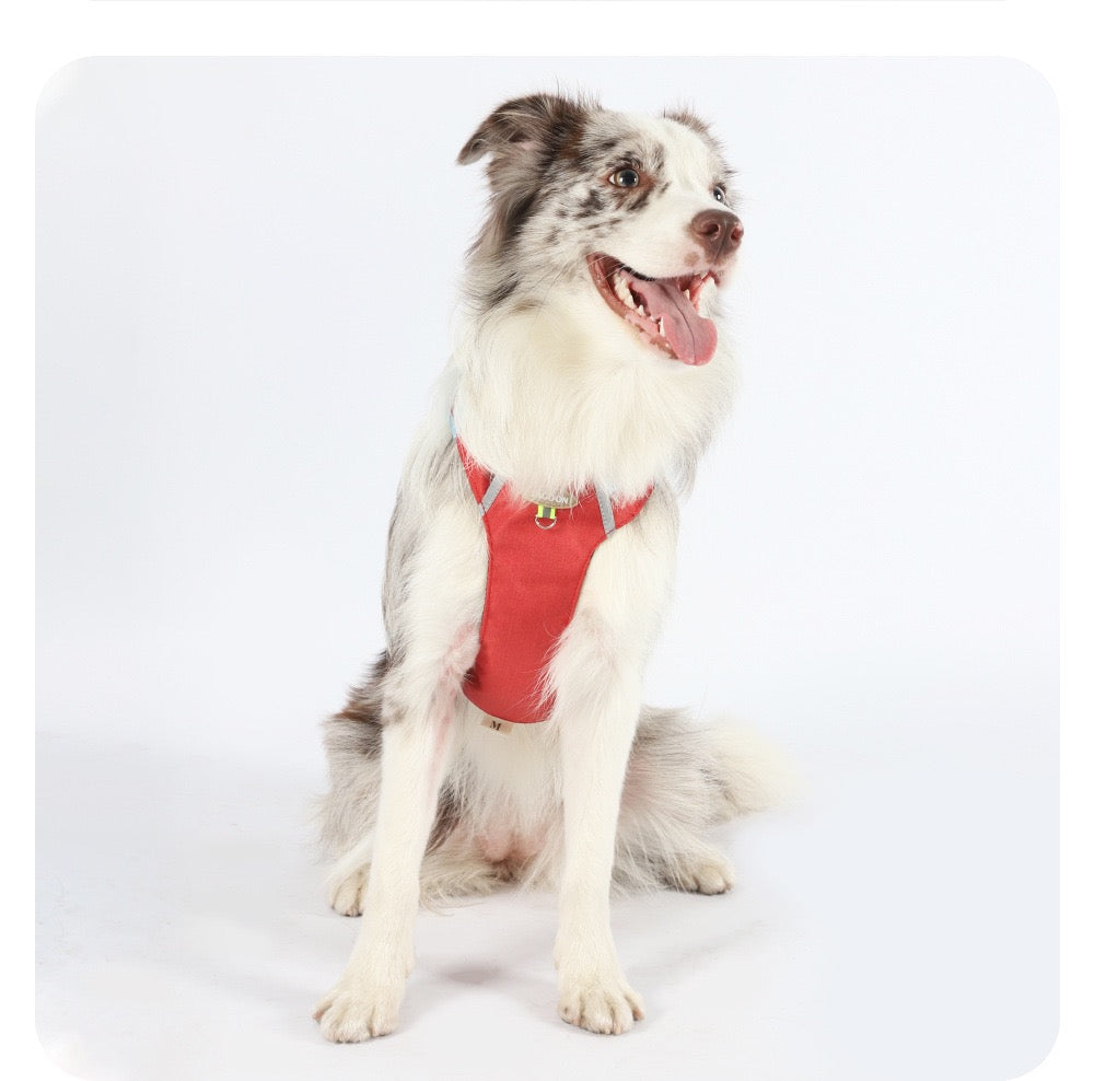 PA332——(Mínimo 3 PCS)