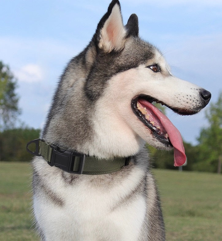 PA342——(Mínimo 3 PCS)