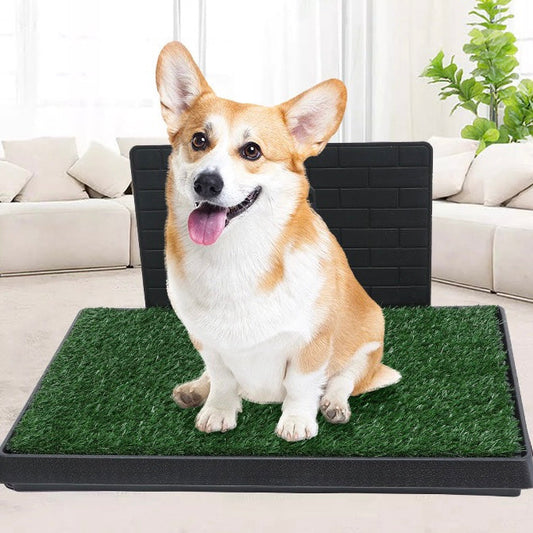 PR317 ——(Mínimo 3 PCS)