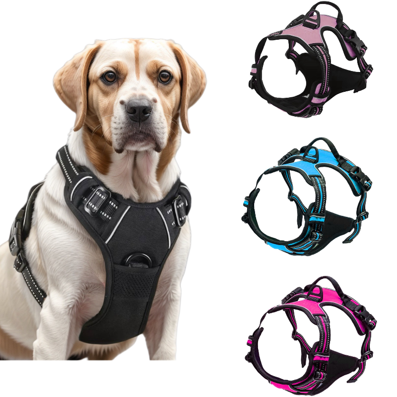 PA309 ——(Mínimo 3 PCS)