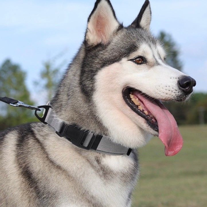 PA342——(Mínimo 3 PCS)