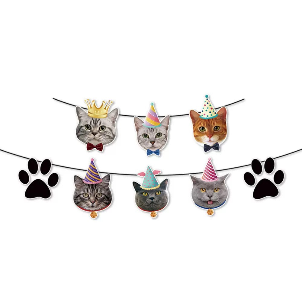 PF-06 ——(Mínimo 3 PCS)