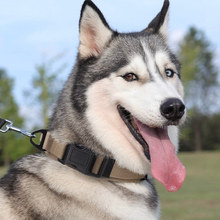 PA342——(Mínimo 3 PCS)