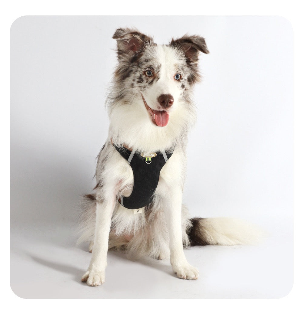 PA332——(Mínimo 3 PCS)