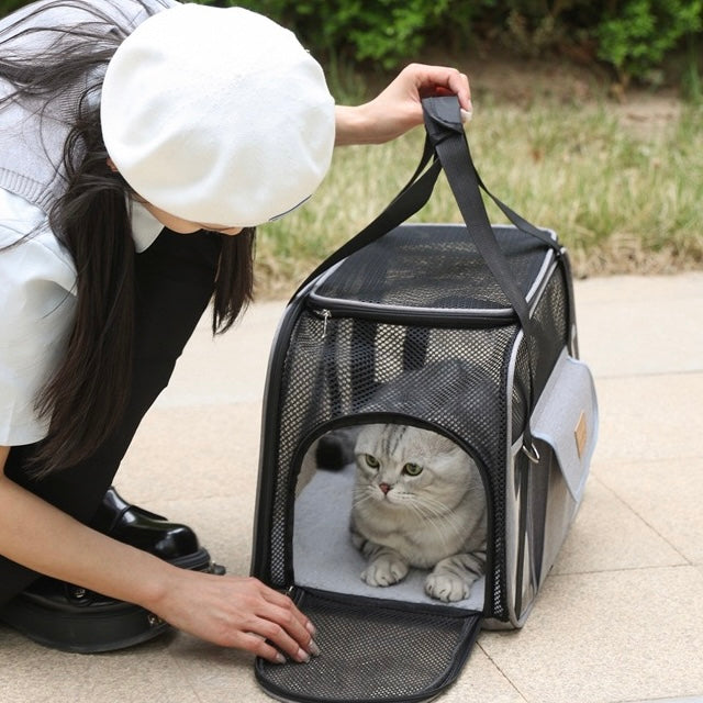 PB343——(Mínimo 3 PCS)