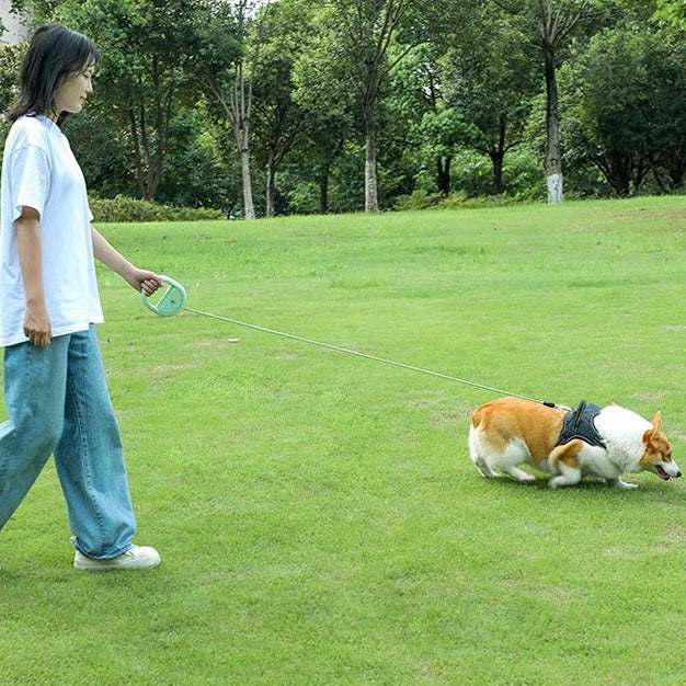 PA337——(Mínimo 3 PCS)