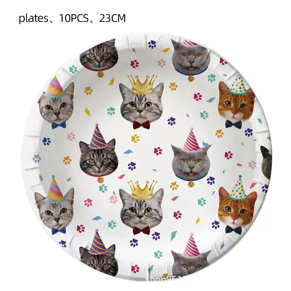 PF-06 ——(Mínimo 3 PCS)
