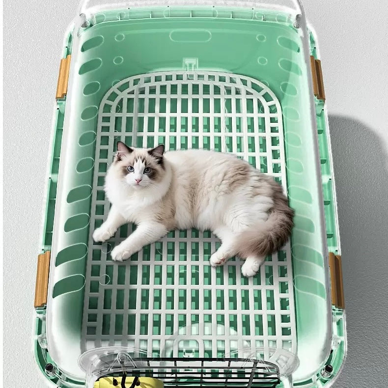 PB336——(Mínimo 3 PCS)