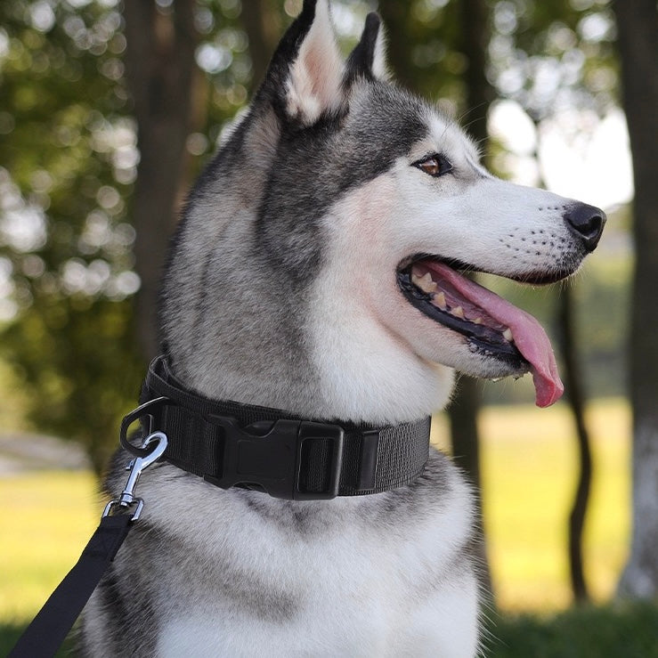 PA342——(Mínimo 3 PCS)