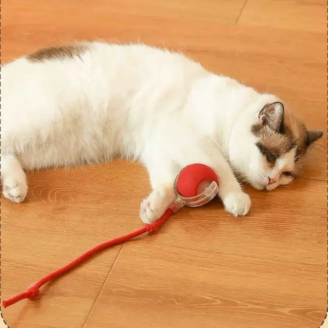 PJ330——(Mínimo 3 PCS)